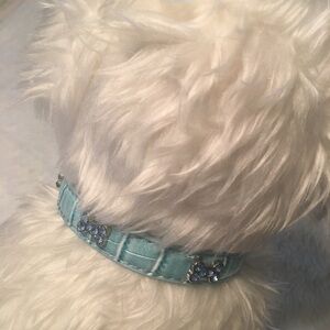 Pet Collar Aqua with Blue Rhinestone Details